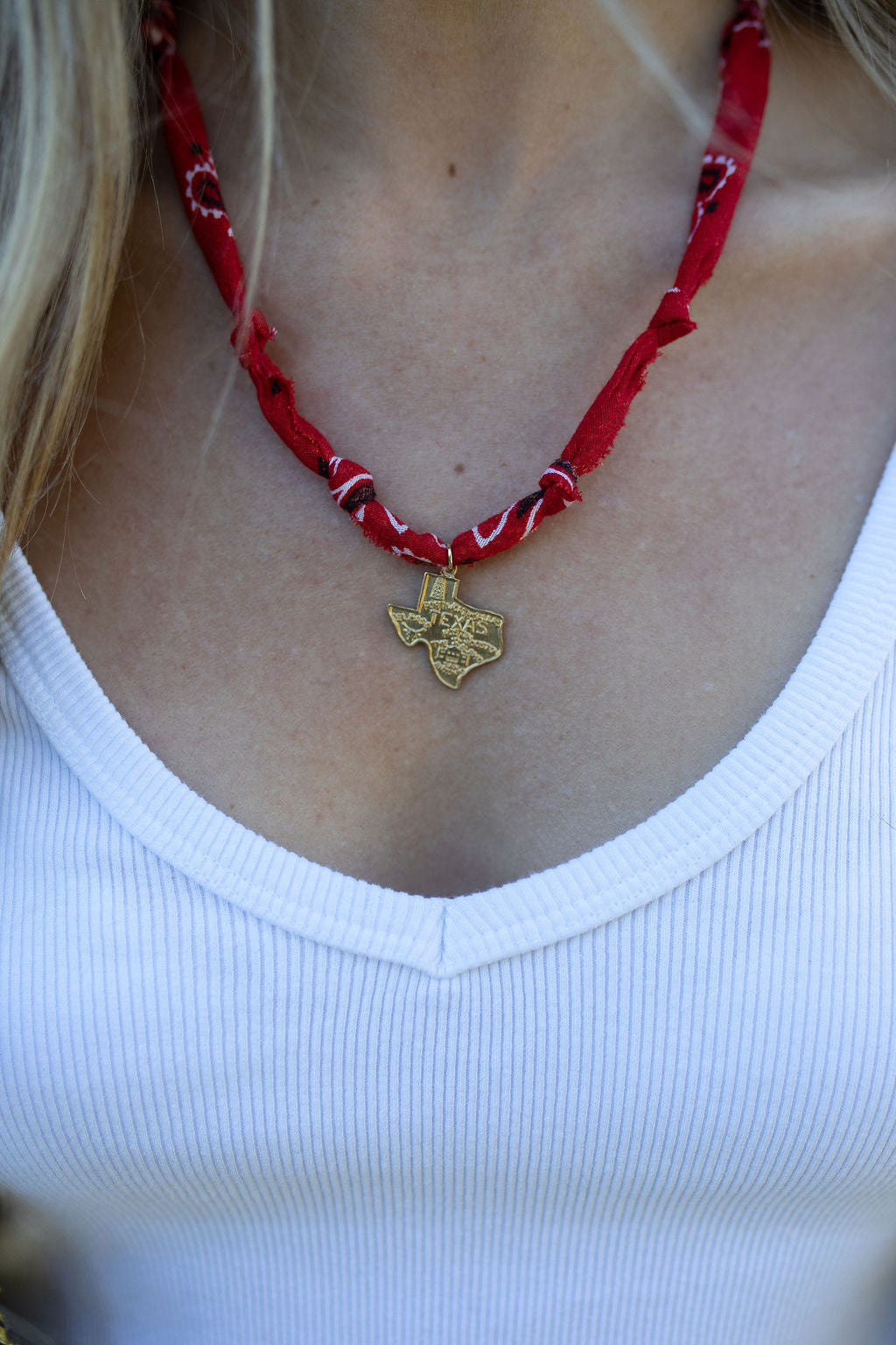 Vintage Texas + red