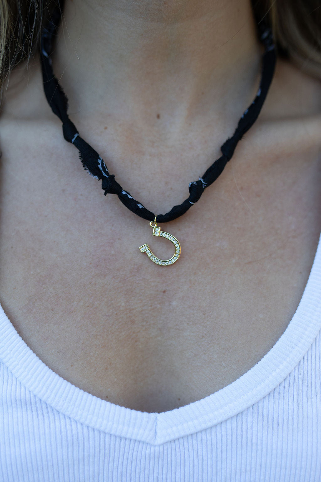 Gold filled horseshoe + black