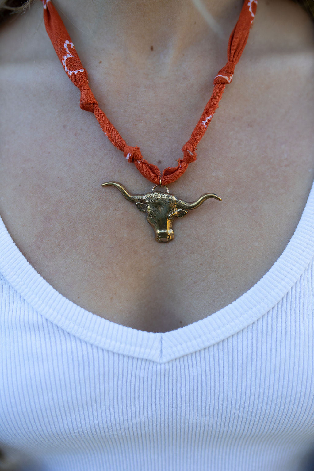 Vintage Longhorn + burnt orange