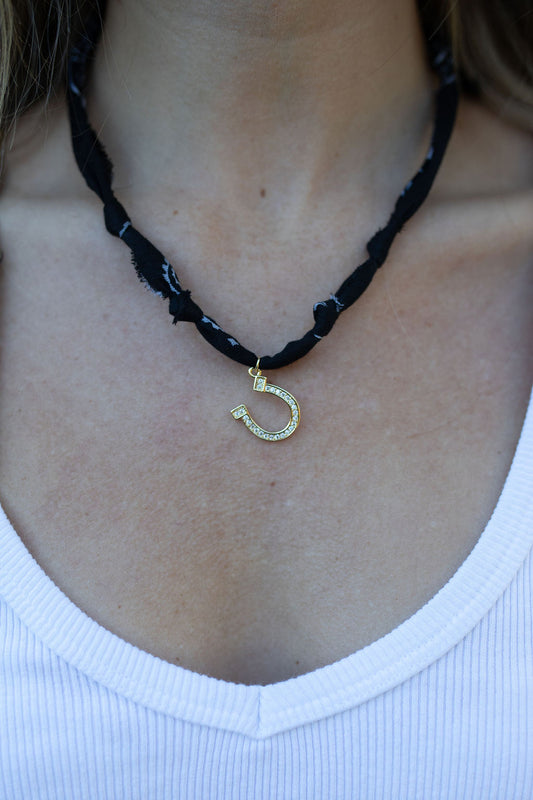 Gold filled horseshoe + black